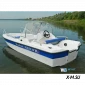 Стеклопластиковый катер Wyatboat-430 DCM (тримаран)
