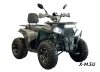 Квадроцикл Dazzle ATV200 Комплектация 2