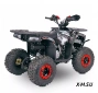 Квадроцикл  YACOTA SIRIUS 110			 			