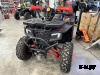 Квадроцикл PROMAX TAURUS 300 Красный